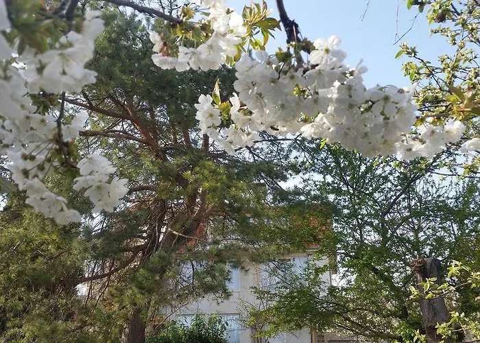 Maison d'hôtes Rio 3*